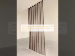 Anpassbarer Fliegenvorhang aus Aluminiumkette: Die ultimative Lösung für Ihre Anforderungen an Fliegenvorhänge aus Kette