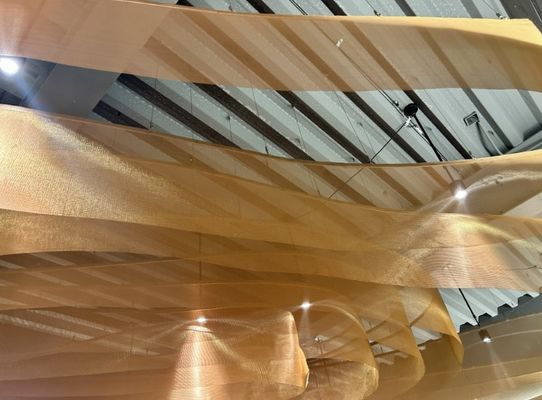 Hochflexibler dekorativer Gewebter Drahtnetz für architektonische Decken